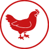 Aves
