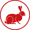 Coelhos