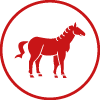 Equinos