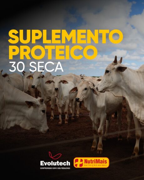 503319748_17881537614300346_2401136237982146470_n