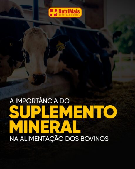 504012710_17882307510300346_117075068571595283_n