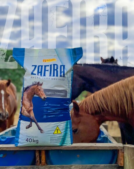 520224740_17886300279300346_4618685508106899624_n