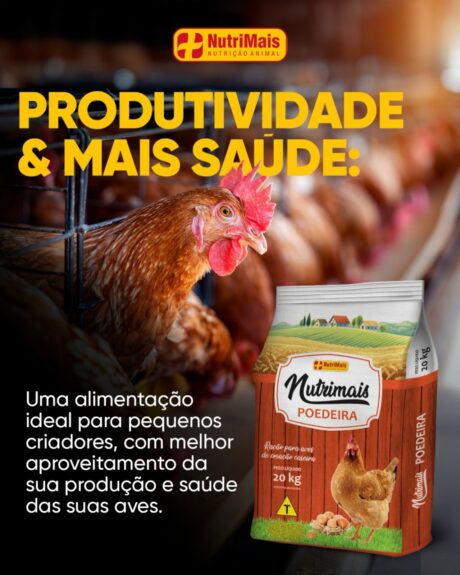 527507883_17888921289300346_282092164644262131_n