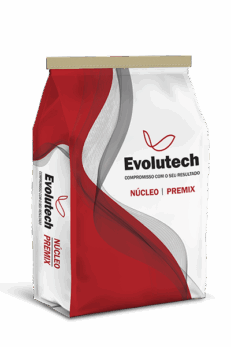 Núcleo Evolutech Performance