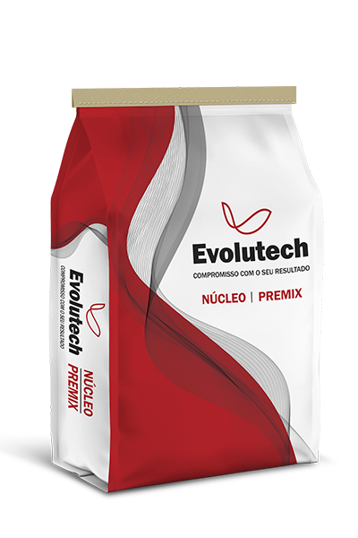 Núcleo Evolutech Casco